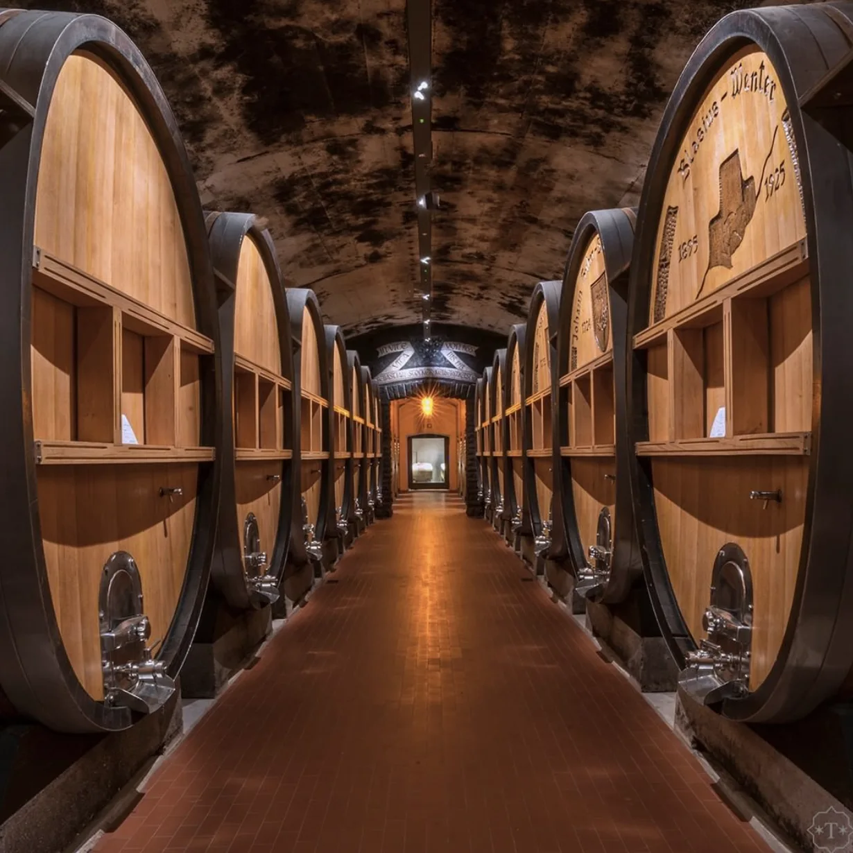 Cantina_Terlano_Newsletter_Aug