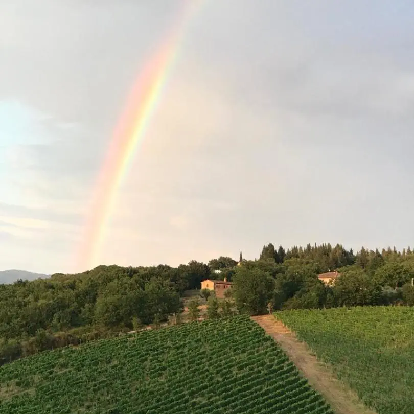Casa_Emma_Newsletter_Aug